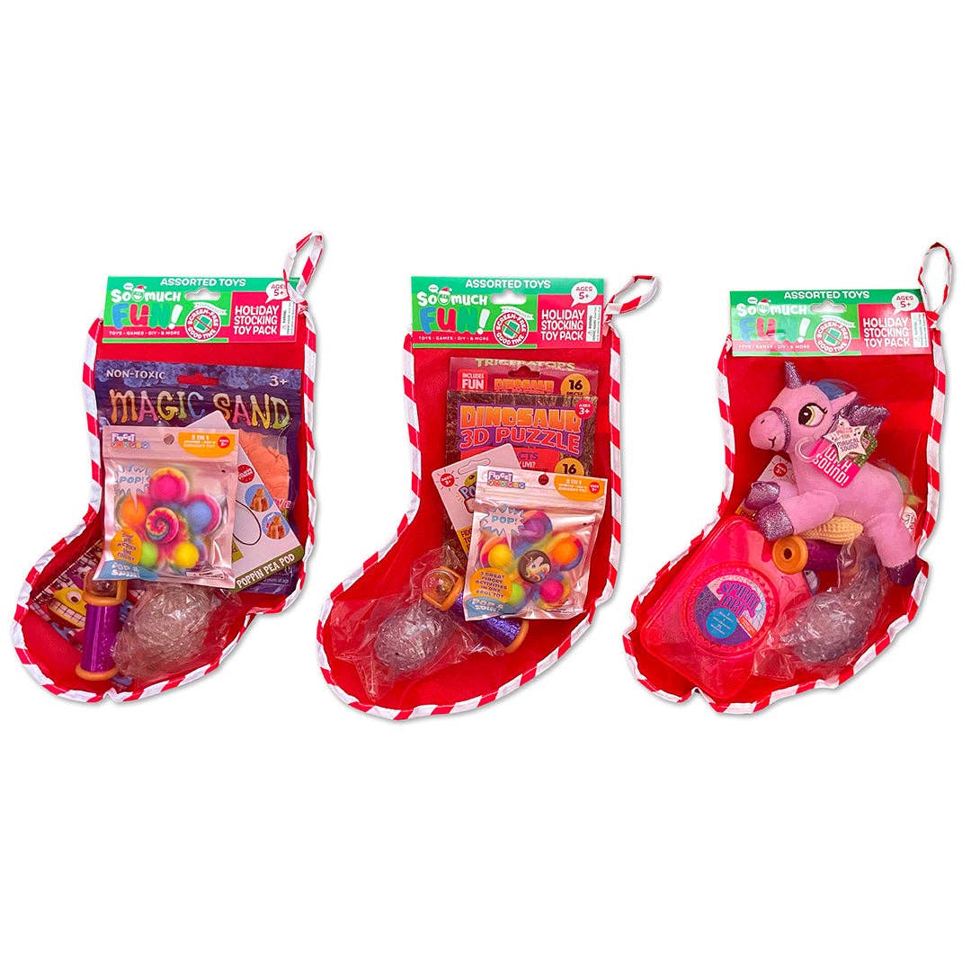 Christmas Mystery Stocking Fidget Toy Assortment
