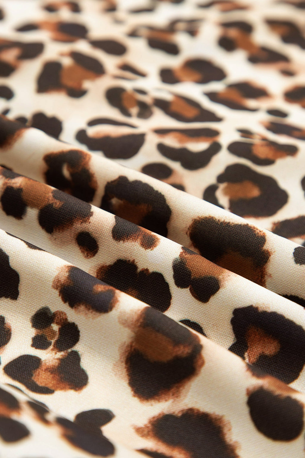 Leopard Stripe Trim V-Neck Mini Dress