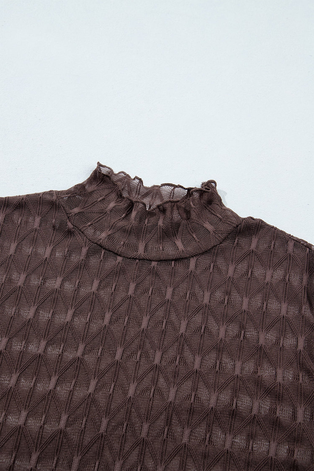 Solid Sheer Textured Lace Mock Neck Long Sleeve Top