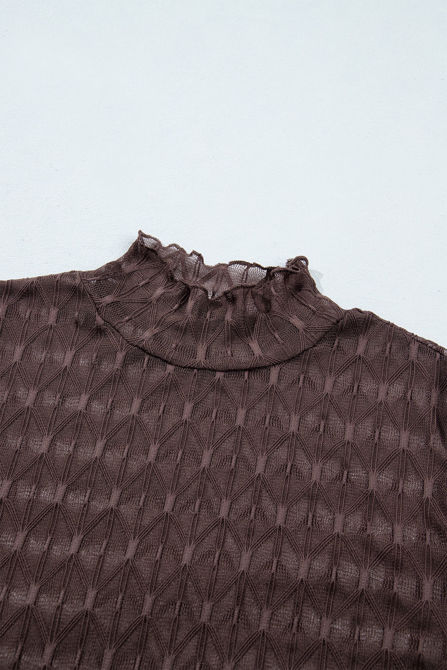 Solid Sheer Textured Lace Mock Neck Long Sleeve Top