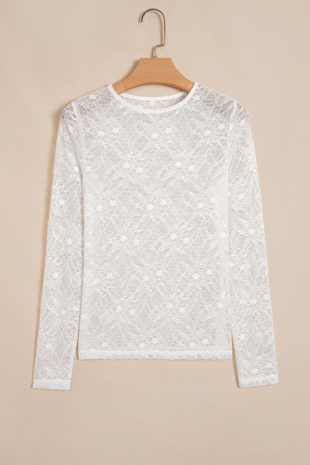 Sheer Lace Mesh Crew Neck Long Sleeve Top