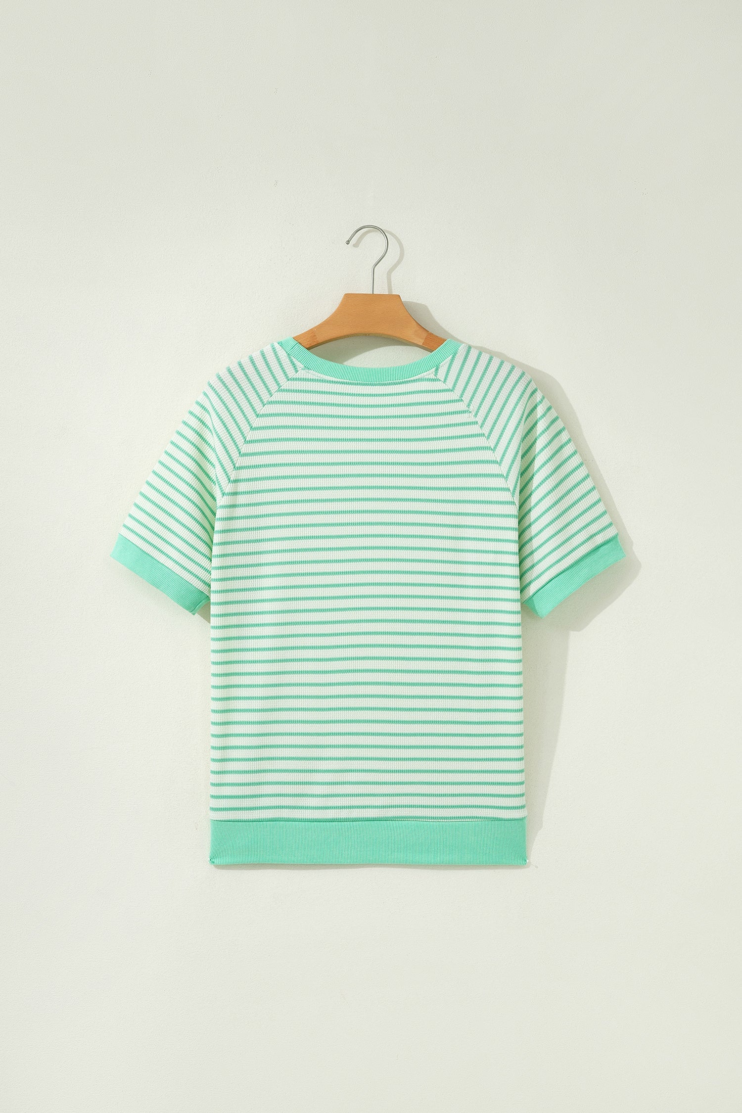 Stripe Colorblock Trim Round Neck Short Sleeve Tee