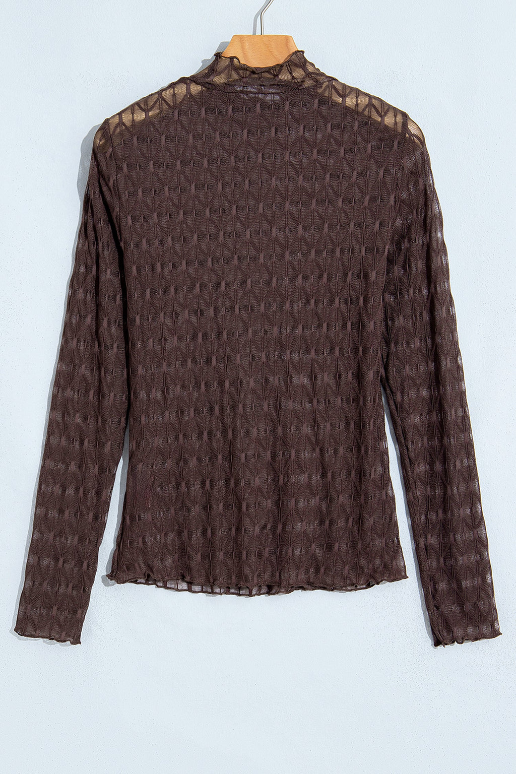 Solid Sheer Textured Lace Mock Neck Long Sleeve Top