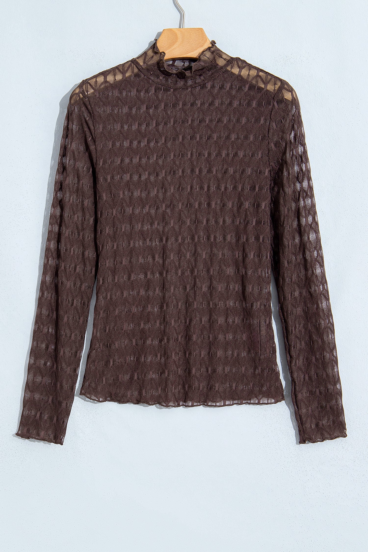 Solid Sheer Textured Lace Mock Neck Long Sleeve Top