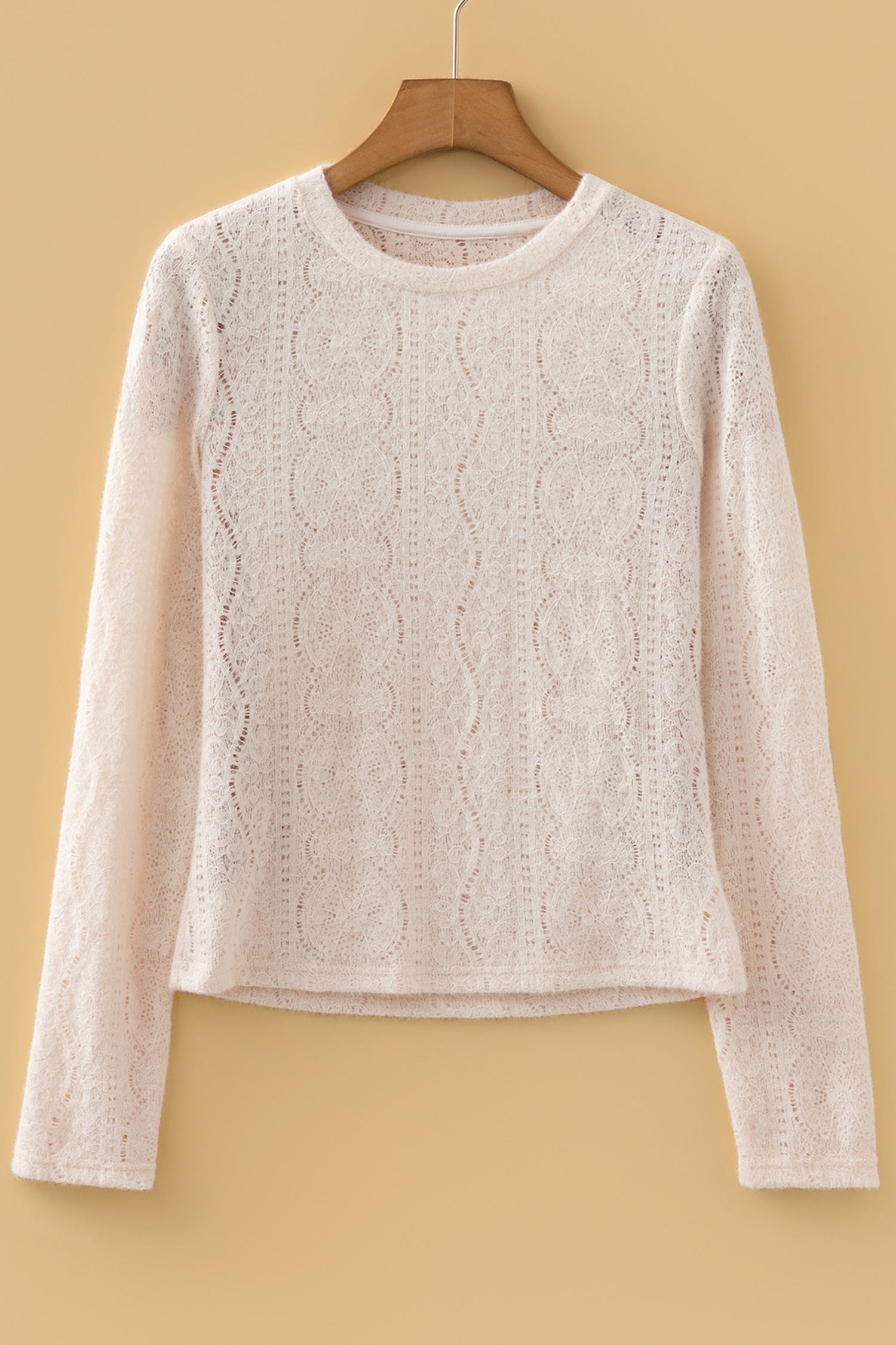 Lace Semi Sheer Long Sleeve Cropped Top
