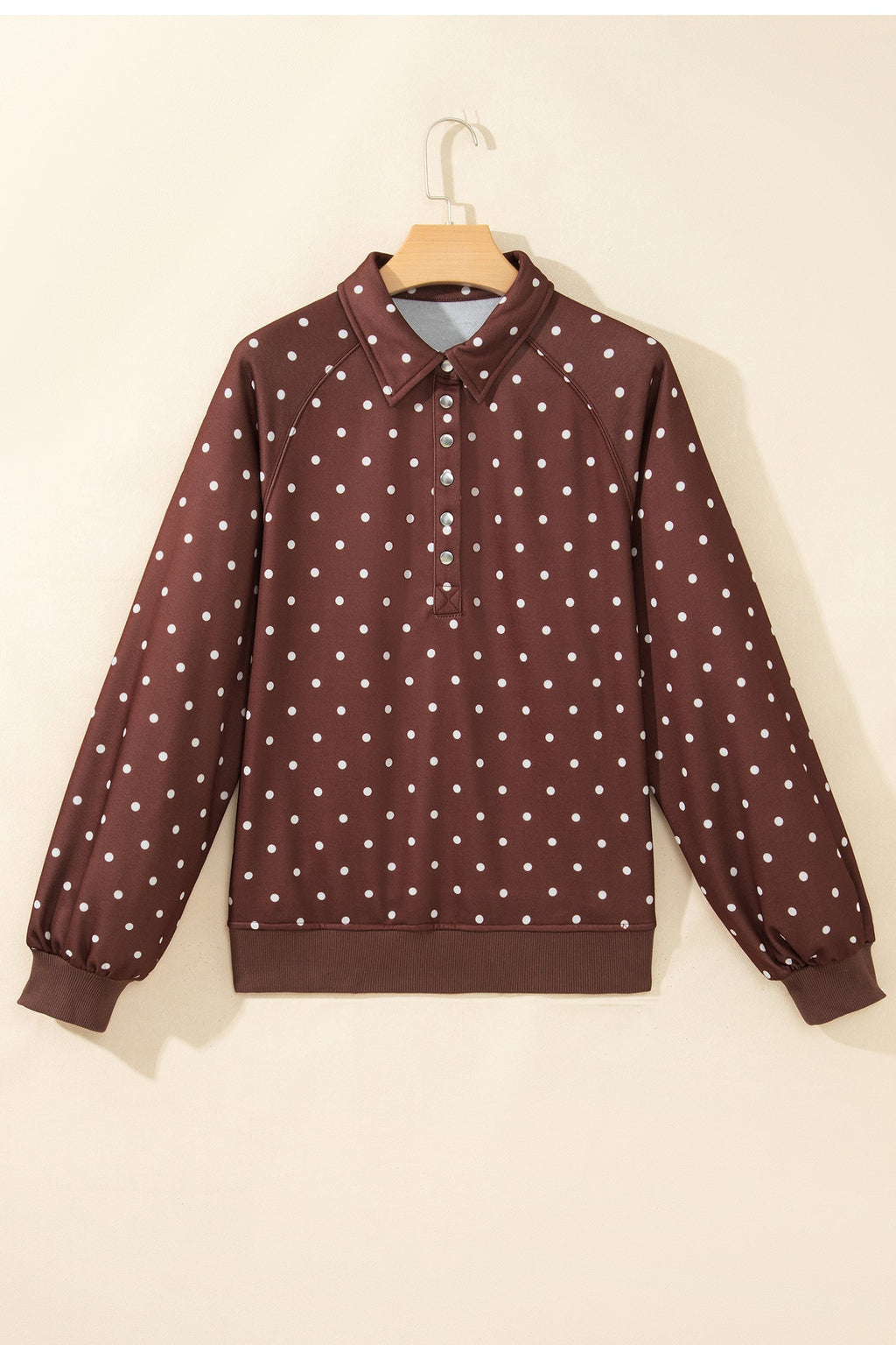 Polka Dot Metal Button Collar Pullover Sweatshirt