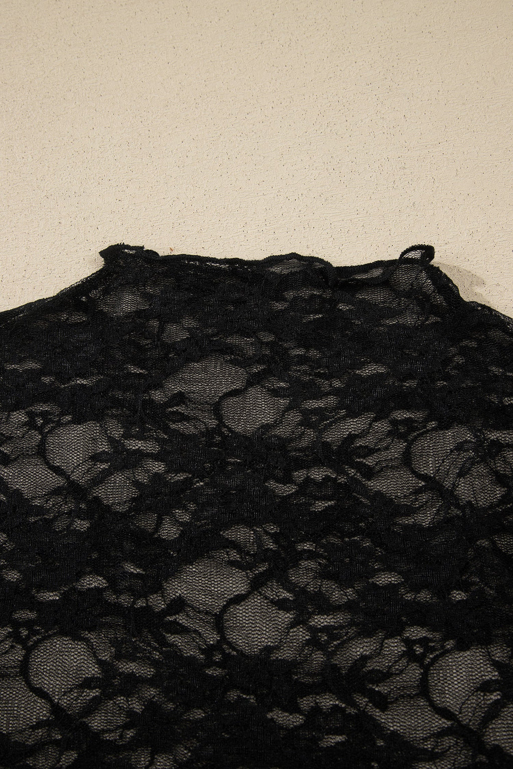Sheer Floral Lace Mock Neck Long Sleeve Top