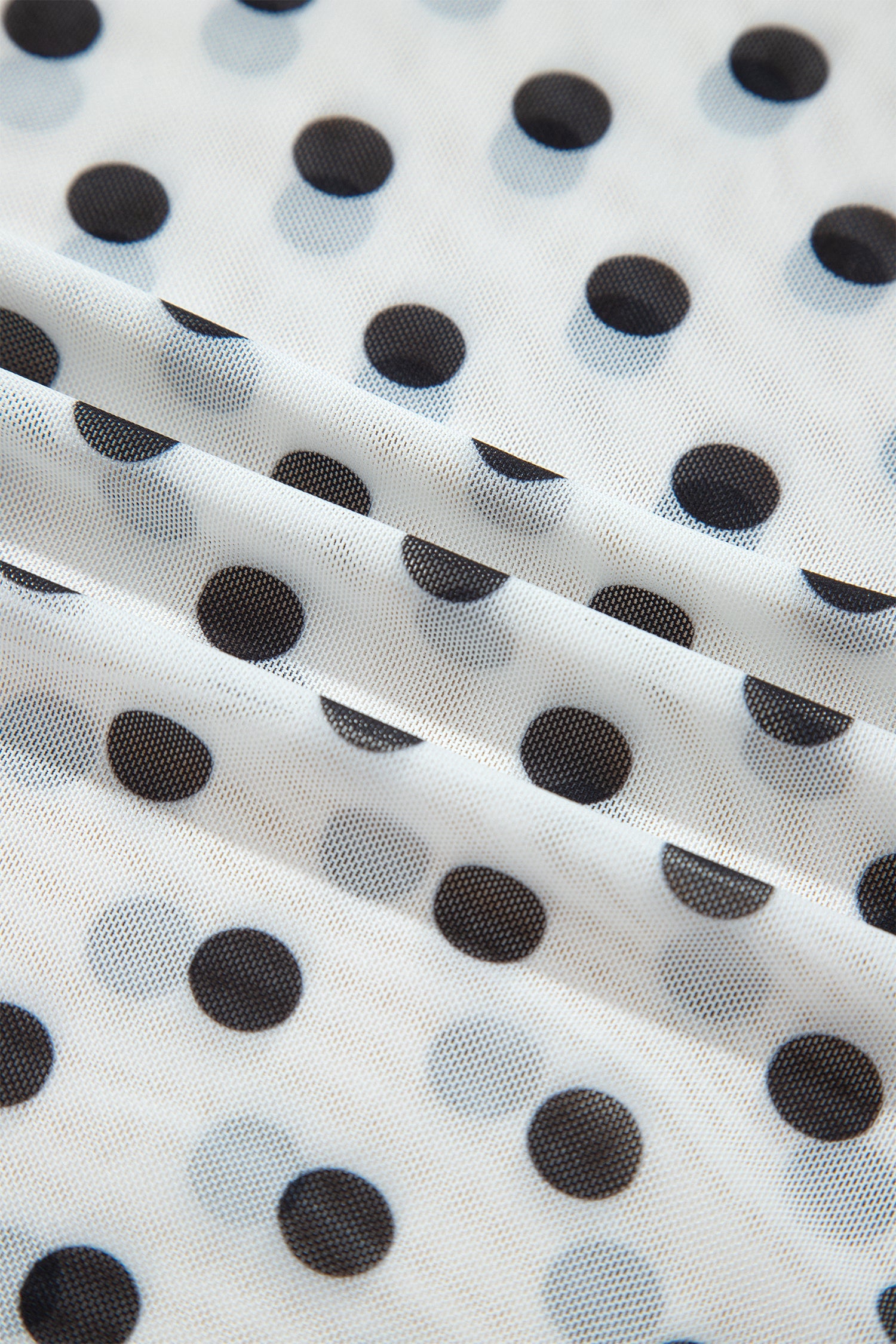 Polka Dot Sheer Mesh Long Sleeve Shift Top