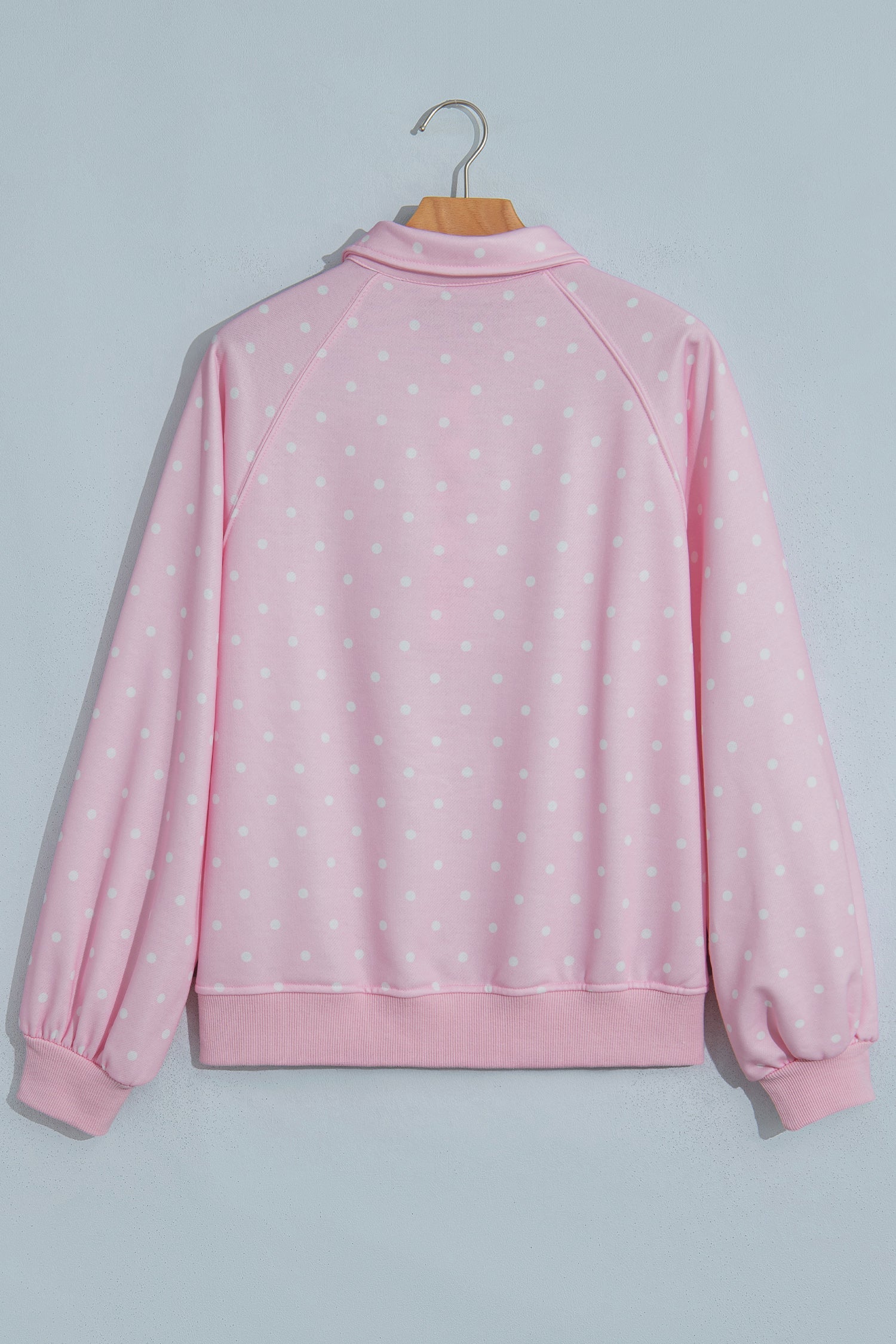 Polka Dot Metal Button Collar Pullover Sweatshirt