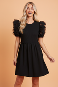 Dotted Mesh Ruffle Sleeve Ribbed Babydoll Dress