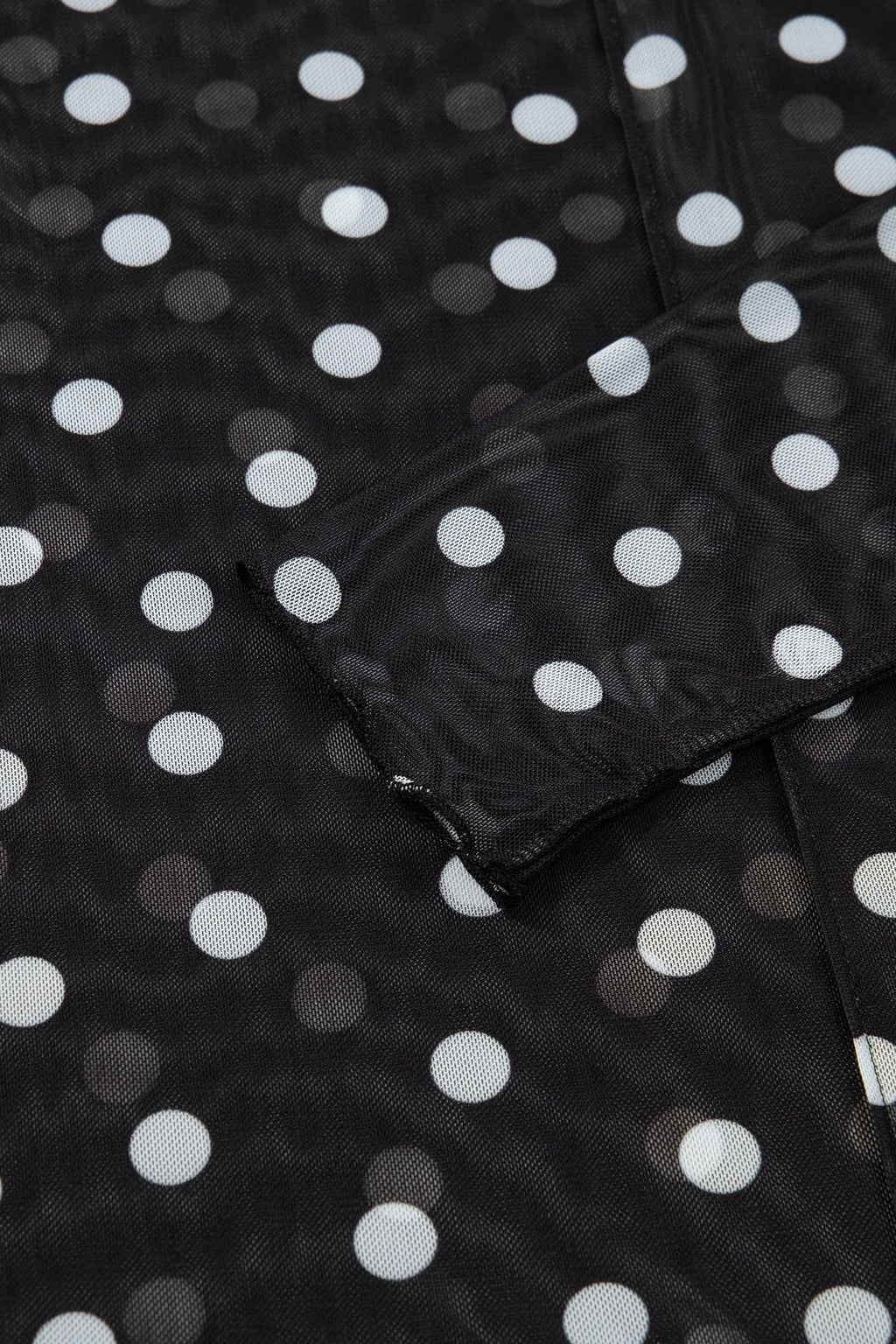 Polka Dot Mesh Mock Neck Long Sleeve Top
